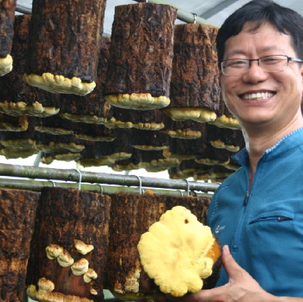 상황보감영농조합법인